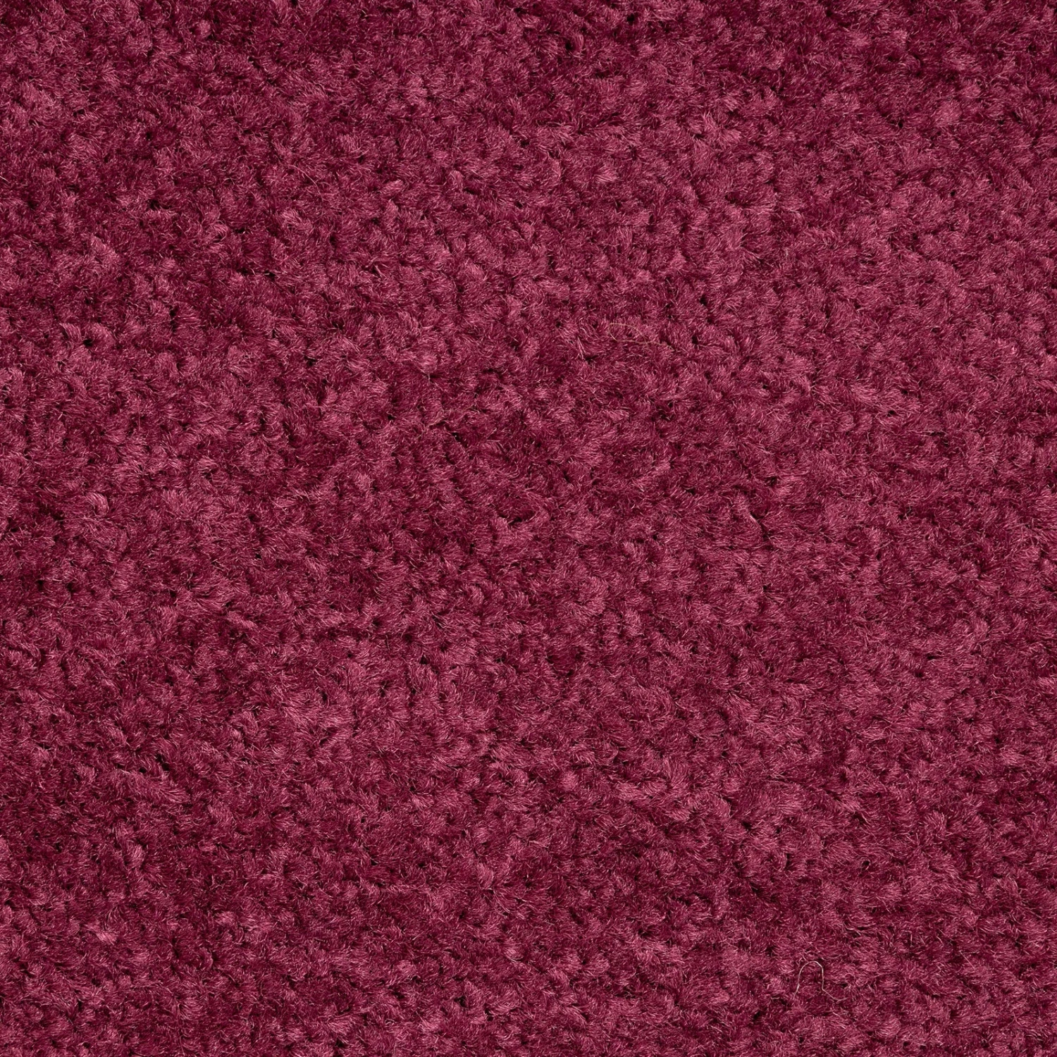 Fußmatte Performa | Hohe Absorptionsfähigkeit | Für Innen & Außen 16 Fußmatte Performa | Hohe Absorptionsfähigkeit | Für Innen & Außen – Bild 14