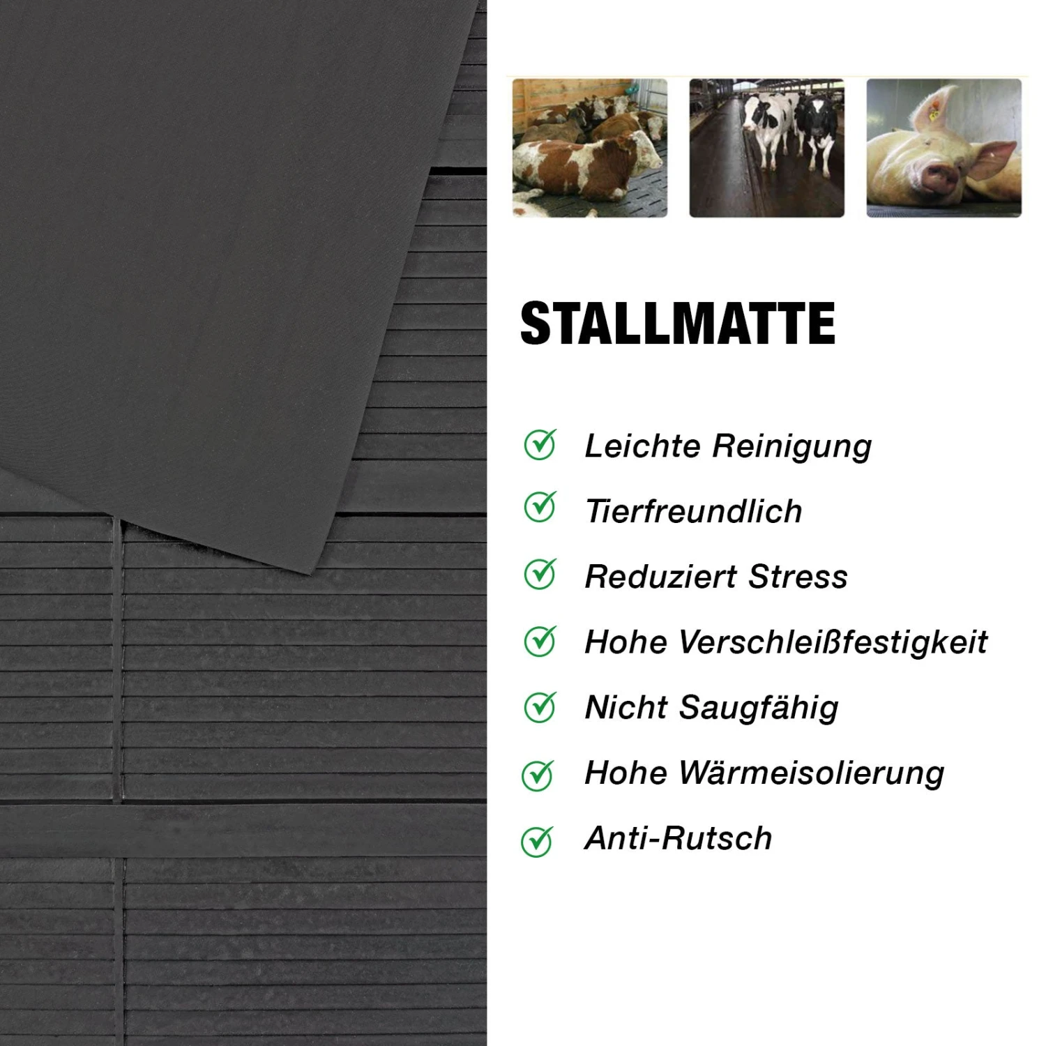 Rampenmatte Für Pferdeanhänger | GW8002 | 155 X 175 Cm 9 Rampenmatte Für Pferdeanhänger | GW8002 | 155 X 175 Cm – Bild 7