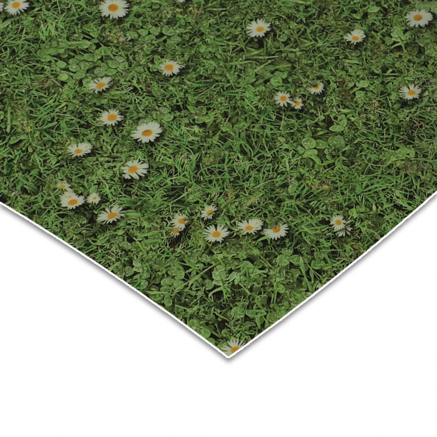 3D CV-Belag | Daisies | Extra Abriebsfester PVC Bodenbelag 3 3D CV-Belag | Daisies | Extra Abriebsfester PVC Bodenbelag