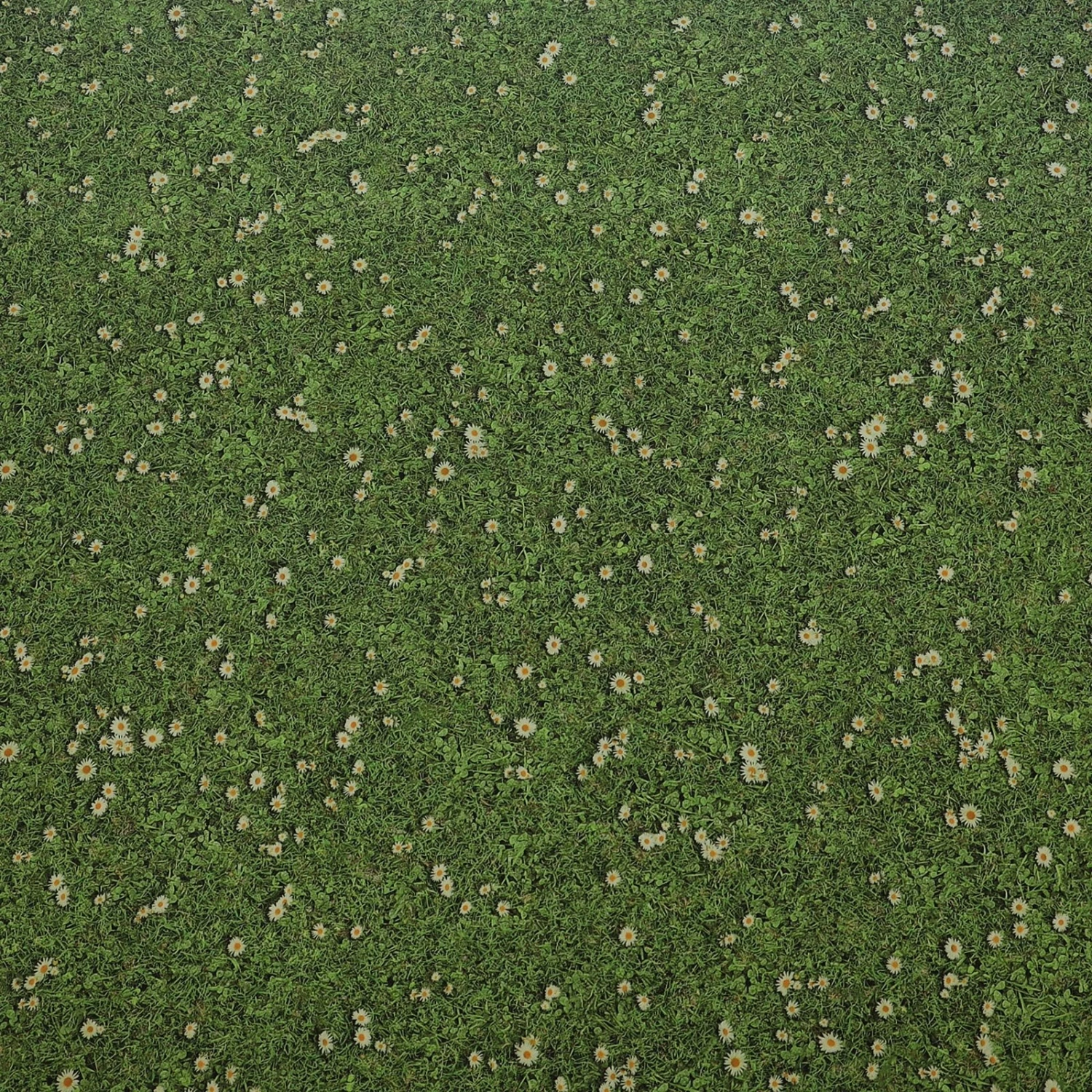 3D CV-Belag | Daisies | Extra Abriebsfester PVC Bodenbelag 6 3D CV-Belag | Daisies | Extra Abriebsfester PVC Bodenbelag – Bild 4