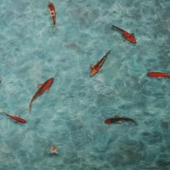 3D CV-Belag | Koi | Extra Abriebsfester PVC Bodenbelag 12 3D CV-Belag | Koi | Extra Abriebsfester PVC Bodenbelag -Floordirekt 3d cv belag koi zuschnitt verschiedene breiten 413171