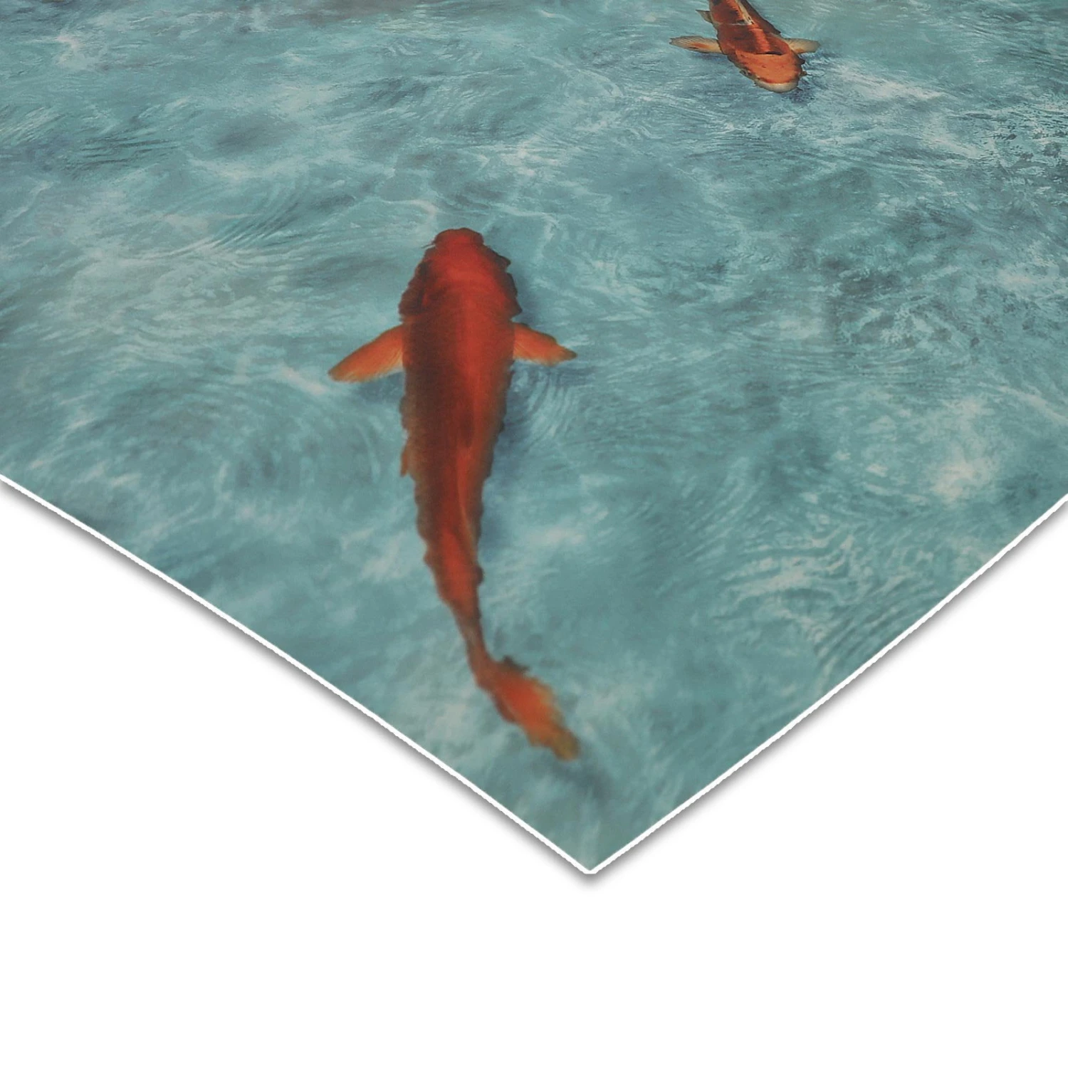 3D CV-Belag | Koi | Extra Abriebsfester PVC Bodenbelag 3 3D CV-Belag | Koi | Extra Abriebsfester PVC Bodenbelag
