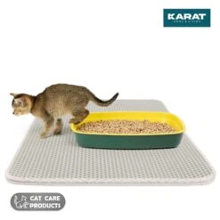 Katzenstreumatte Charly | Doppelschichtiges Waben-Design | Abwaschbar | Rutschfest | Verschiedene Farben 31 Katzenstreumatte Charly | Doppelschichtiges Waben-Design | Abwaschbar | Rutschfest | Verschiedene Farben -Floordirekt KatzenstreumatteCharly 1.Mainimage grau