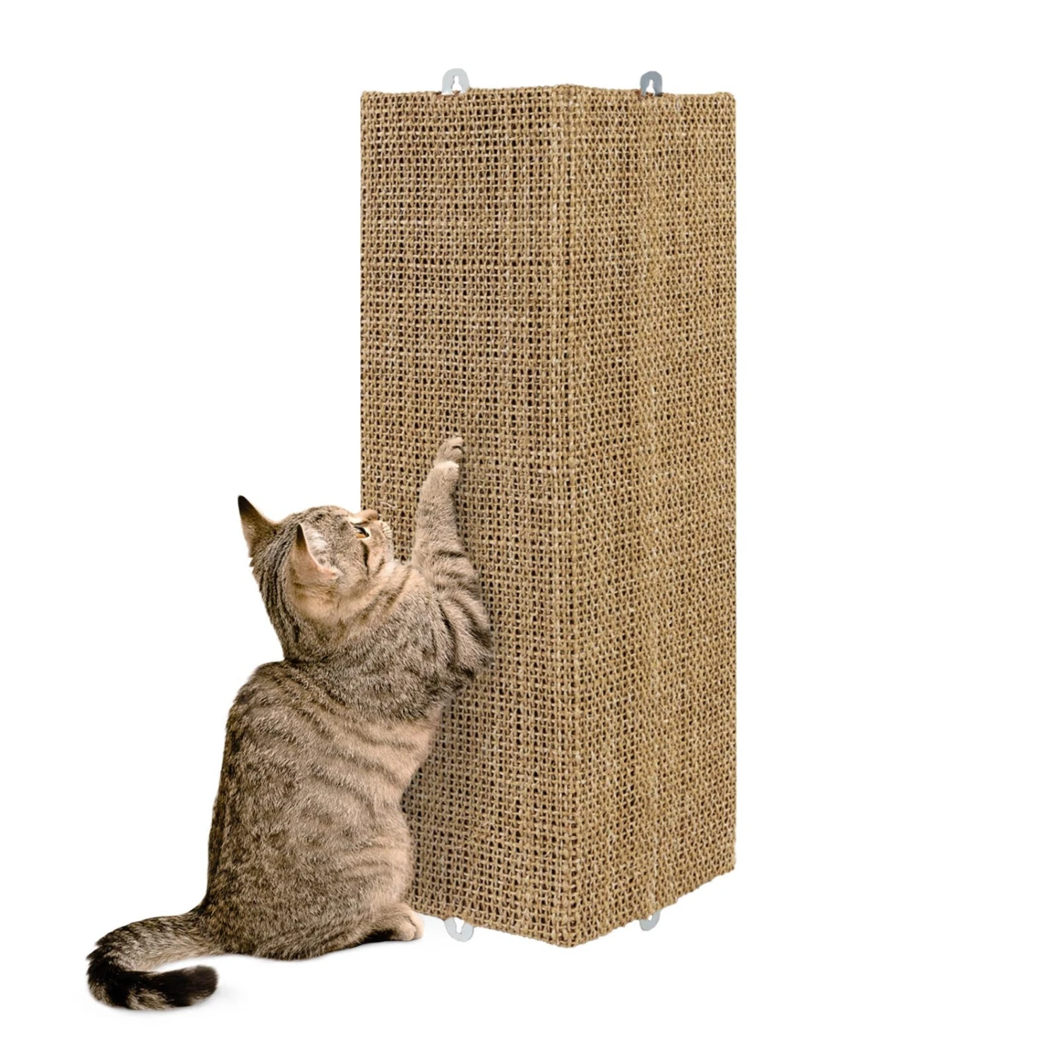 Kratzbrett Für Katzen | Sisal | Krallenpflege Für Tiere 4 Kratzbrett Für Katzen | Sisal | Krallenpflege Für Tiere – Bild 2