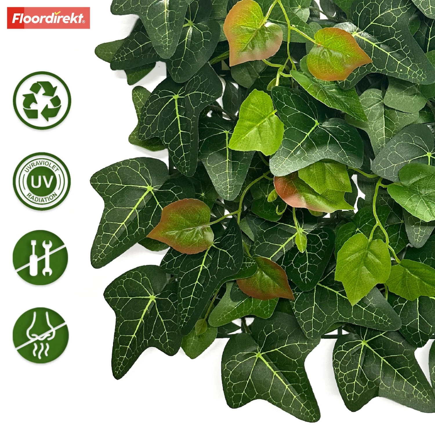 Pflanzenwand | Ivy | Langlebige Kunstpflanze Mit Efeu-Blättern Für Moderne Raumgestaltung | 33 X 33 Cm 4 Pflanzenwand | Ivy | Langlebige Kunstpflanze Mit Efeu-Blättern Für Moderne Raumgestaltung | 33 X 33 Cm – Bild 2