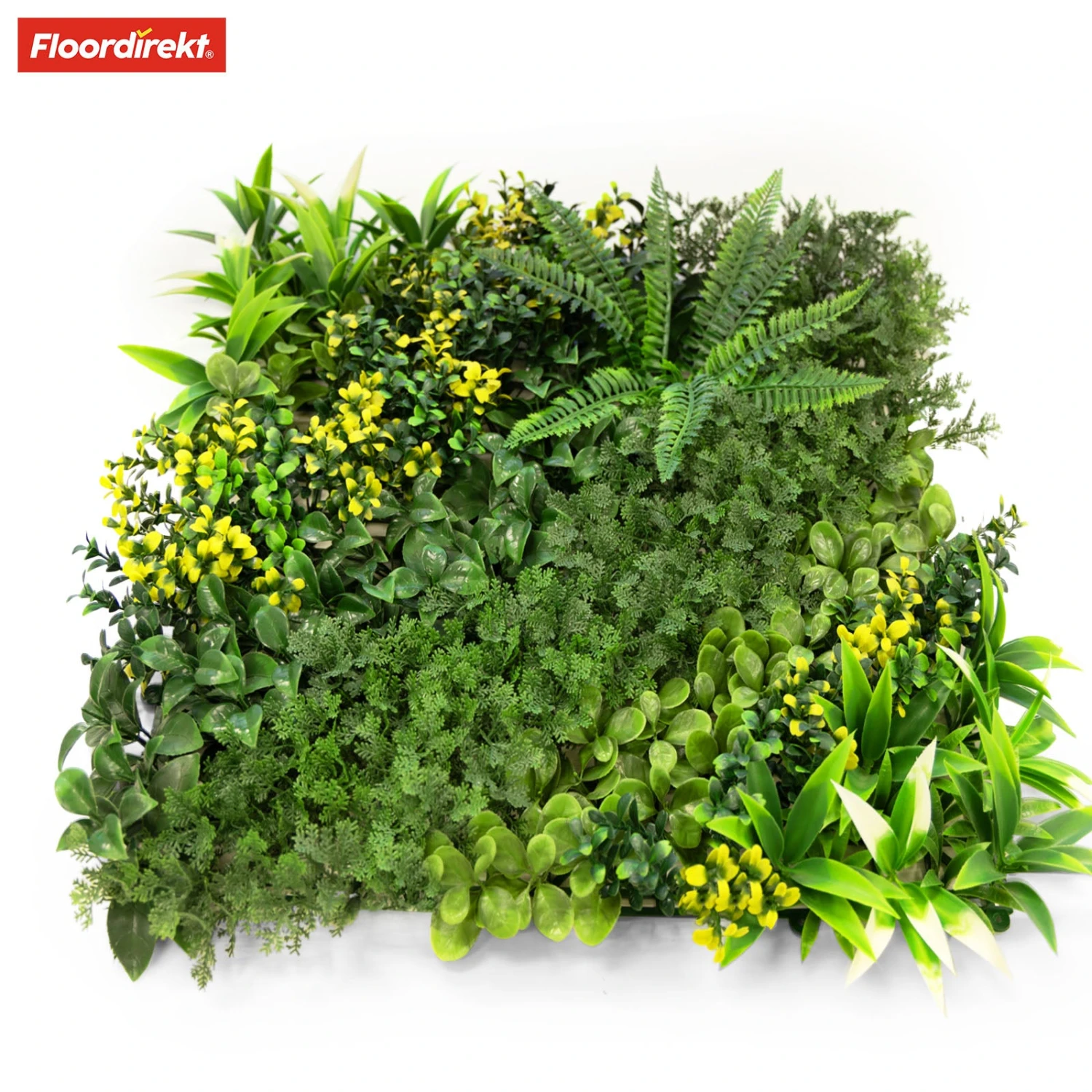 Pflanzenwand | Multielements | Vielseitige Und Pflegeleichte Grünoase Für Ihre Raumgestaltung | 50 X 50 Cm 5 Pflanzenwand | Multielements | Vielseitige Und Pflegeleichte Grünoase Für Ihre Raumgestaltung | 50 X 50 Cm – Bild 3