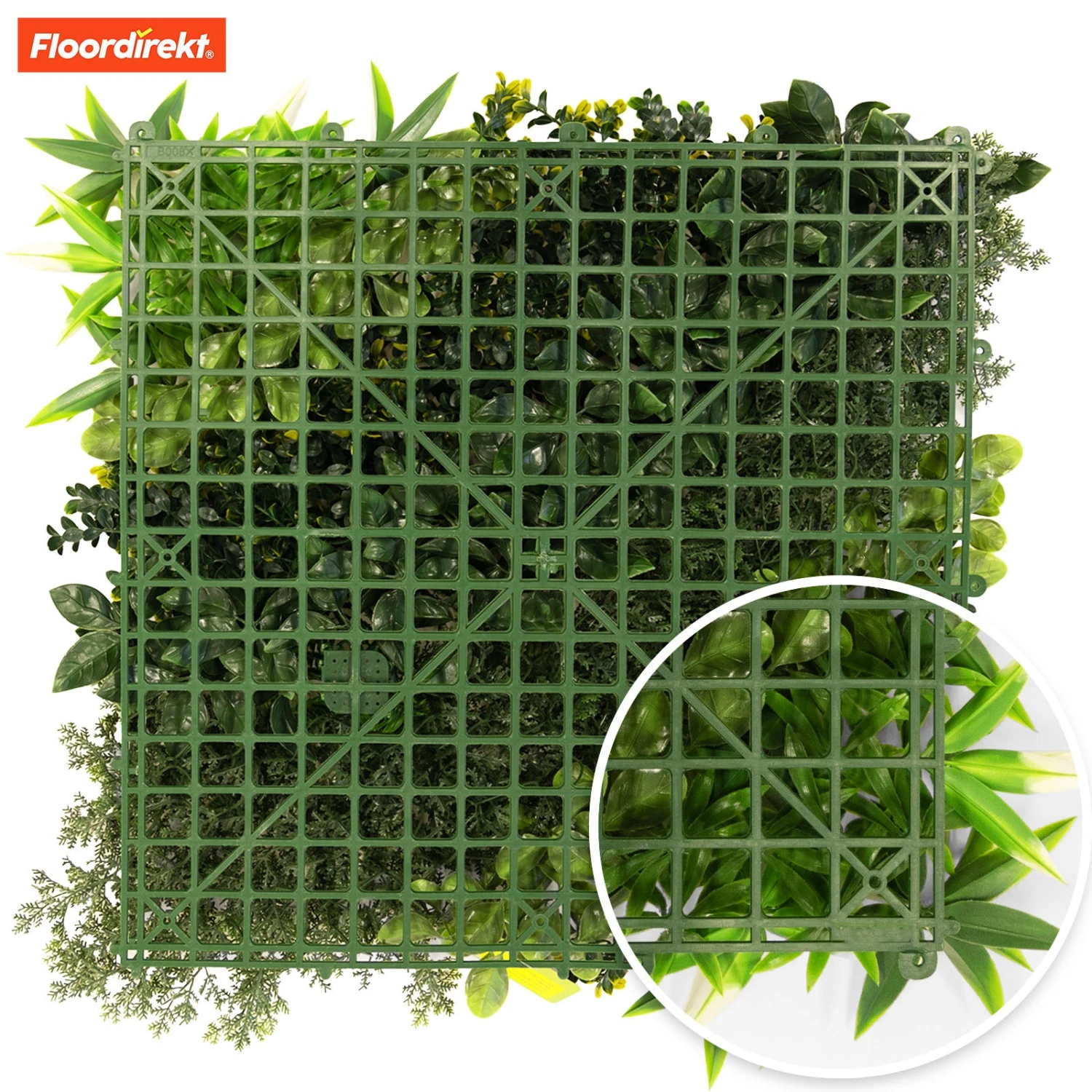 Pflanzenwand | Multielements | Vielseitige Und Pflegeleichte Grünoase Für Ihre Raumgestaltung | 50 X 50 Cm 7 Pflanzenwand | Multielements | Vielseitige Und Pflegeleichte Grünoase Für Ihre Raumgestaltung | 50 X 50 Cm – Bild 5