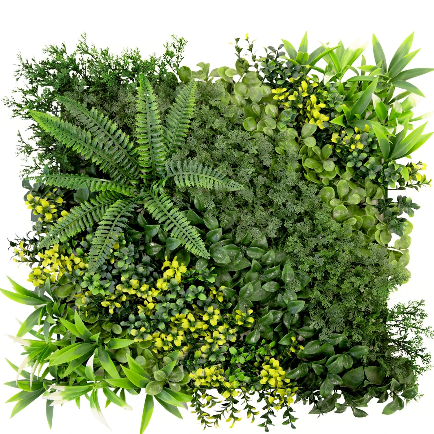 Pflanzenwand | Multielements | Vielseitige Und Pflegeleichte Grünoase Für Ihre Raumgestaltung | 50 X 50 Cm 3 Pflanzenwand | Multielements | Vielseitige Und Pflegeleichte Grünoase Für Ihre Raumgestaltung | 50 X 50 Cm