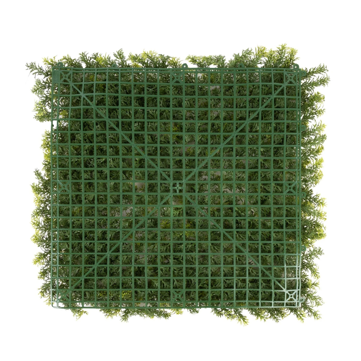 Pflanzenwand | Houttuynia-cordata | Kunstpflanzen Zur Wandmontage | 50 X 50 Cm 7 Pflanzenwand | Houttuynia-cordata | Kunstpflanzen Zur Wandmontage | 50 X 50 Cm – Bild 5