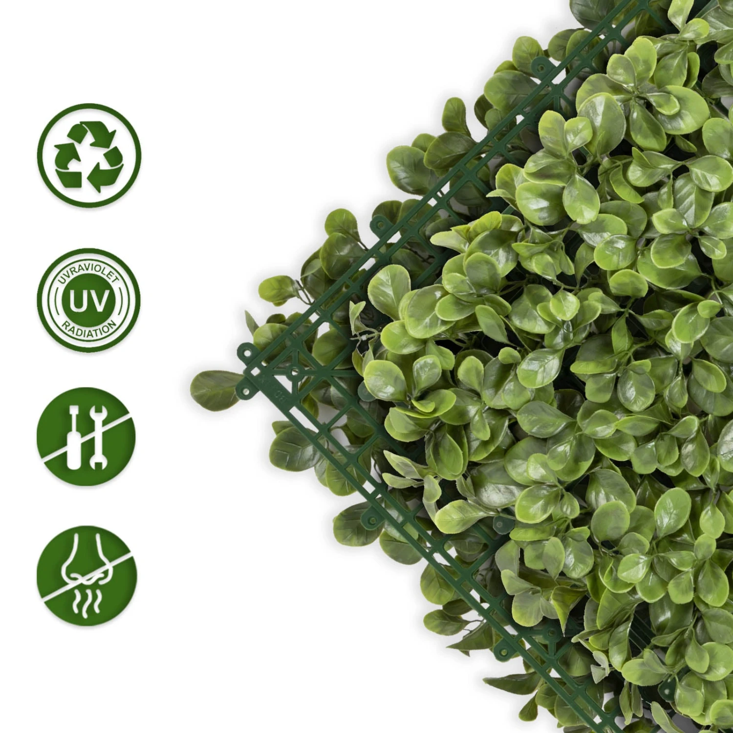 Pflanzenwand | Jade-Leaf | Kunstpflanzen Zur Wandmontage | 50 X 50 Cm 4 Pflanzenwand | Jade-Leaf | Kunstpflanzen Zur Wandmontage | 50 X 50 Cm – Bild 2