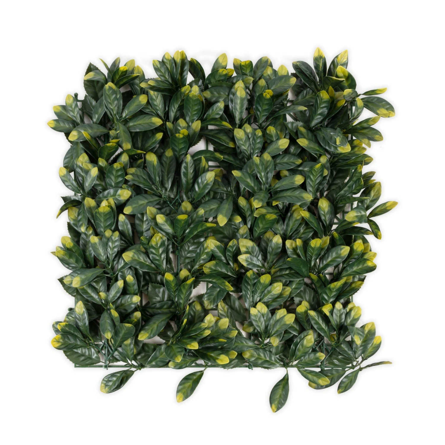 Pflanzenwand | Laurel | Kunstpflanzen Zur Wandmontage | 50 X 50 Cm 3 Pflanzenwand | Laurel | Kunstpflanzen Zur Wandmontage | 50 X 50 Cm