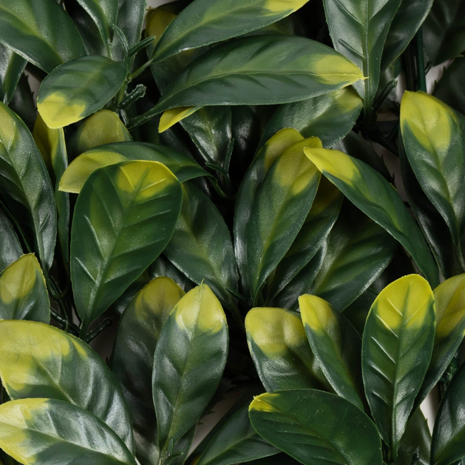 Pflanzenwand | Laurel | Kunstpflanzen Zur Wandmontage | 50 X 50 Cm 6 Pflanzenwand | Laurel | Kunstpflanzen Zur Wandmontage | 50 X 50 Cm – Bild 4