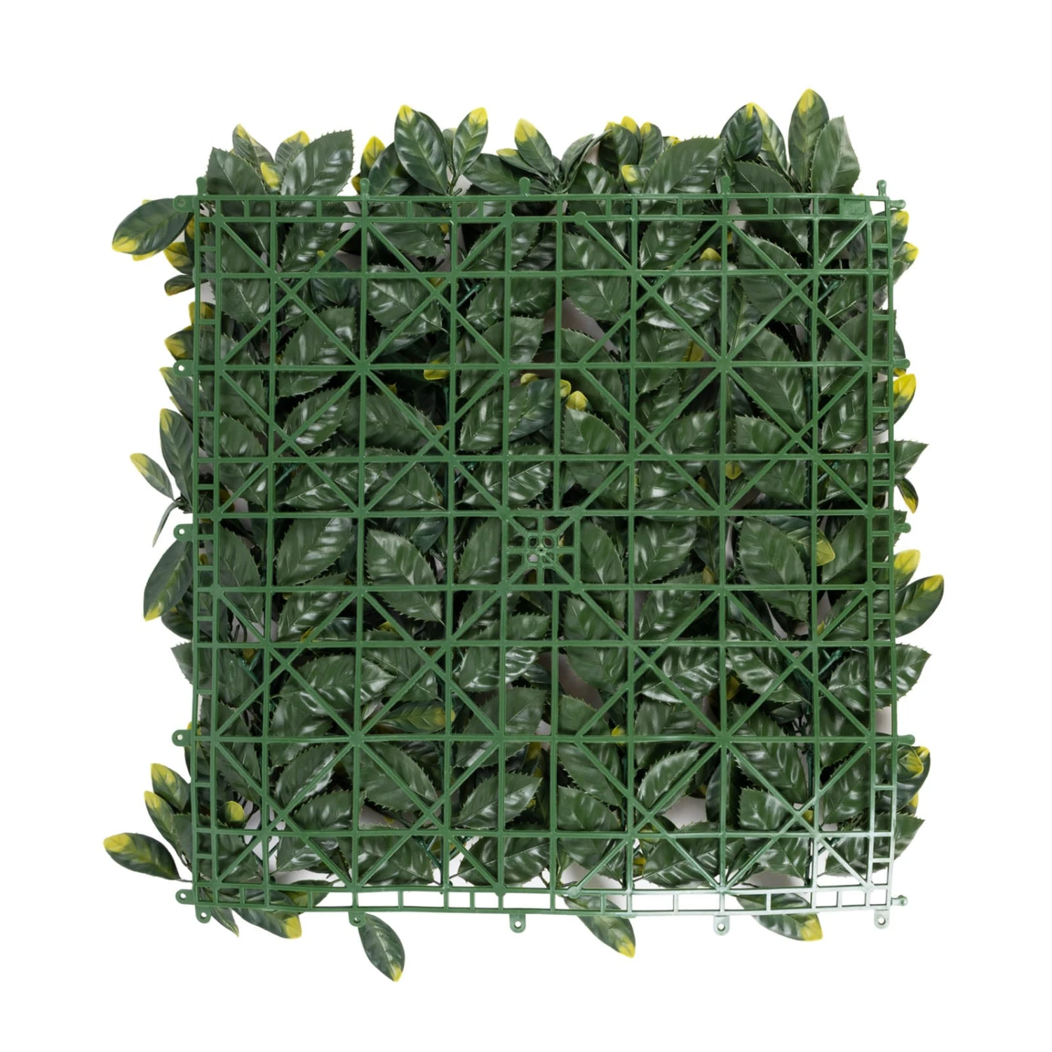 Pflanzenwand | Laurel | Kunstpflanzen Zur Wandmontage | 50 X 50 Cm 7 Pflanzenwand | Laurel | Kunstpflanzen Zur Wandmontage | 50 X 50 Cm – Bild 5