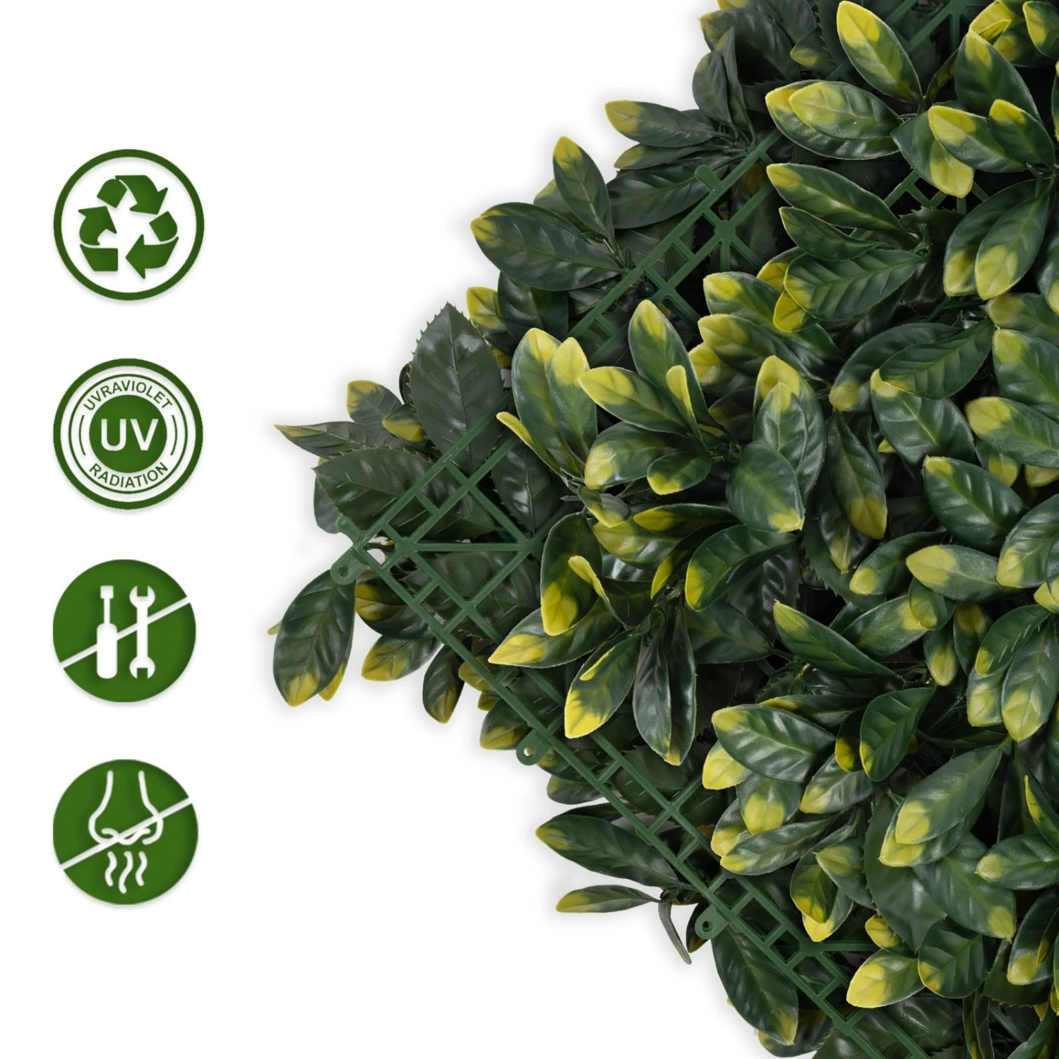 Pflanzenwand | Laurel | Kunstpflanzen Zur Wandmontage | 50 X 50 Cm 4 Pflanzenwand | Laurel | Kunstpflanzen Zur Wandmontage | 50 X 50 Cm – Bild 2