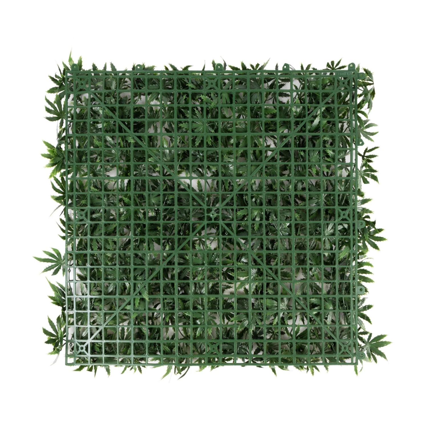 Pflanzenwand | Maple | Kunstpflanzen Zur Wandmontage | 50 X 50 Cm 7 Pflanzenwand | Maple | Kunstpflanzen Zur Wandmontage | 50 X 50 Cm – Bild 5