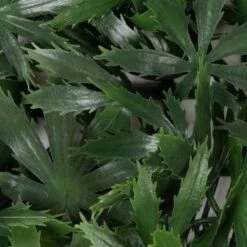 Pflanzenwand | Maple | Kunstpflanzen Zur Wandmontage | 50 X 50 Cm 13 Pflanzenwand | Maple | Kunstpflanzen Zur Wandmontage | 50 X 50 Cm -Floordirekt Pflanzenwand Maple Green 03