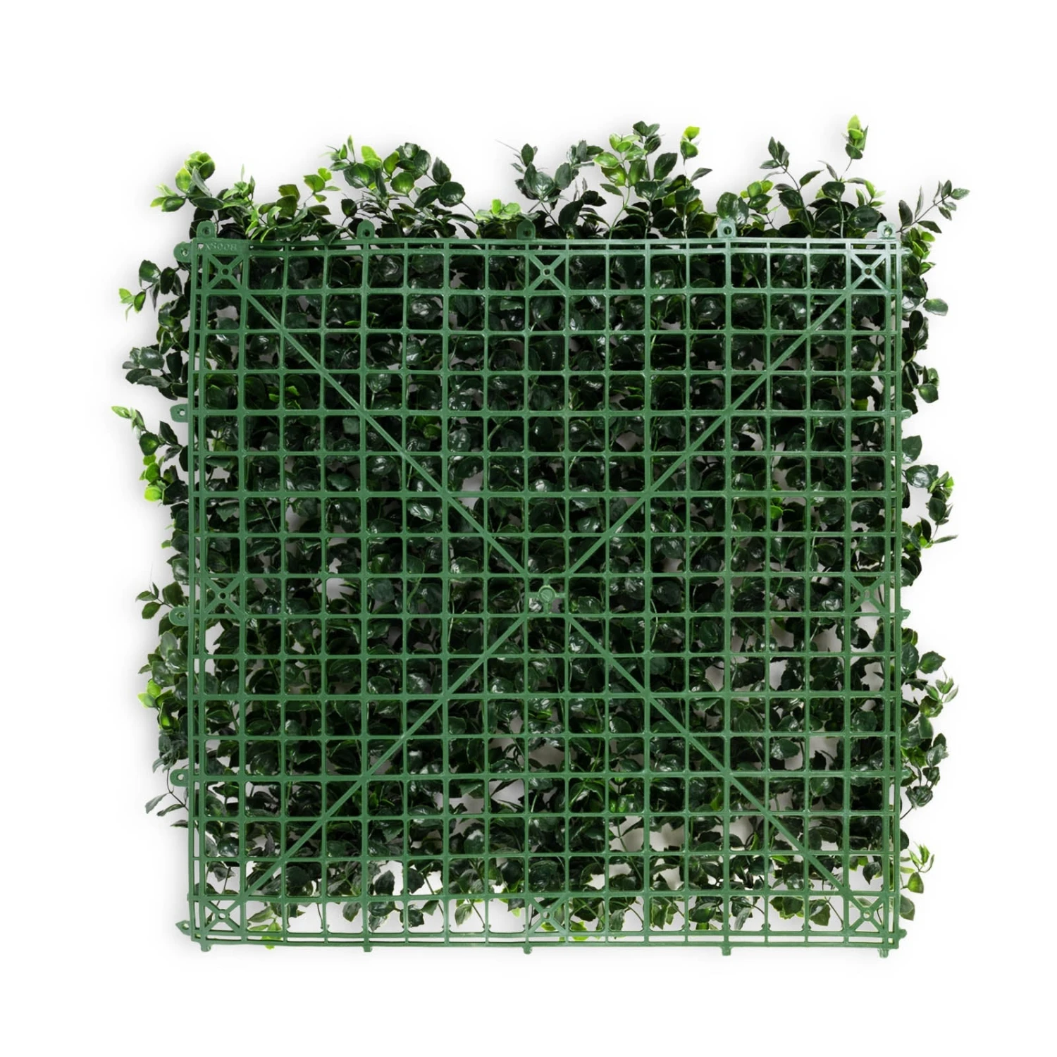 Pflanzenwand | Pachysandra | Kunstpflanzen Zur Wandmontage | 50 X 50 Cm 7 Pflanzenwand | Pachysandra | Kunstpflanzen Zur Wandmontage | 50 X 50 Cm – Bild 5