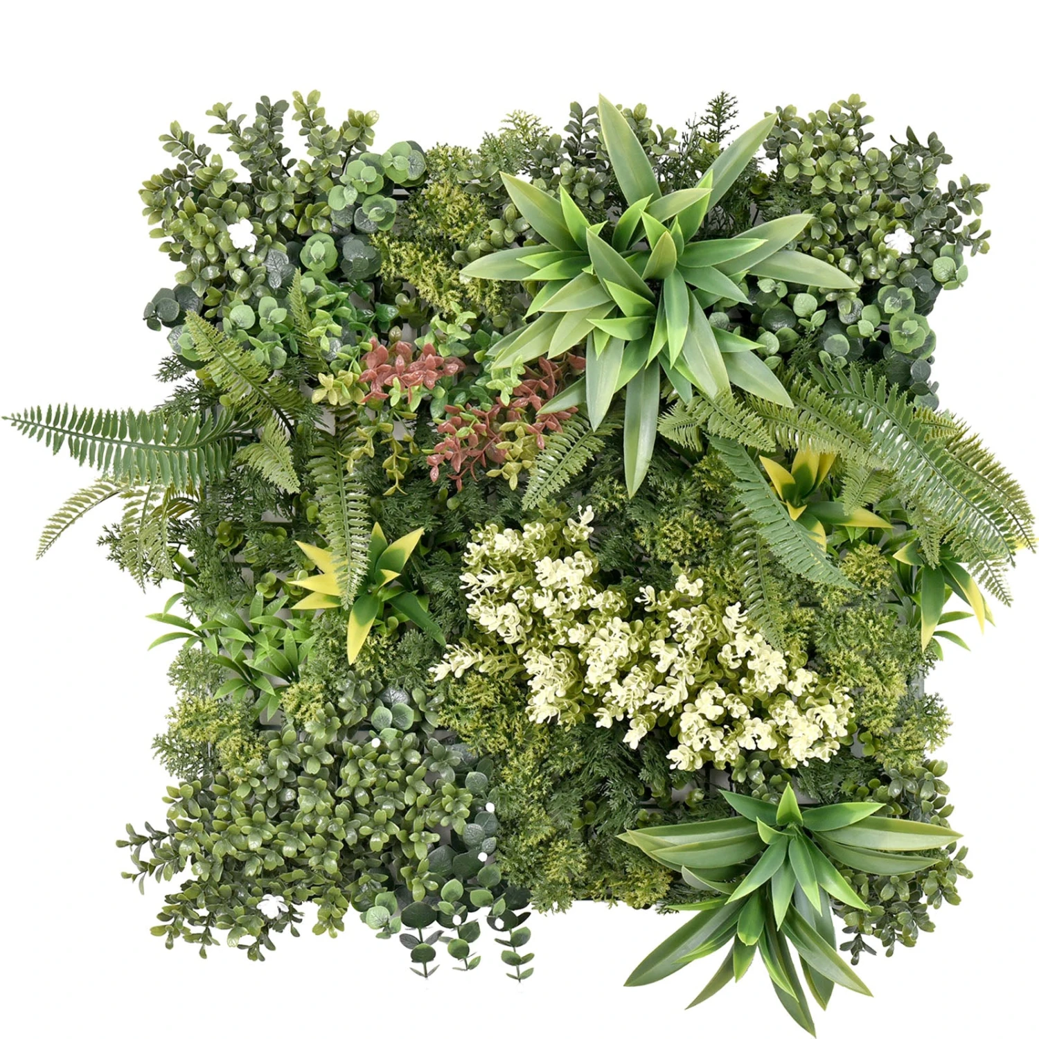 Pflanzenwand | Rhea | Stilvolle Wandgestaltung Mit Grünpflanzen Und Weißen Blüten | 50 X 50 Cm 12 Pflanzenwand | Rhea | Stilvolle Wandgestaltung Mit Grünpflanzen Und Weißen Blüten | 50 X 50 Cm – Bild 10