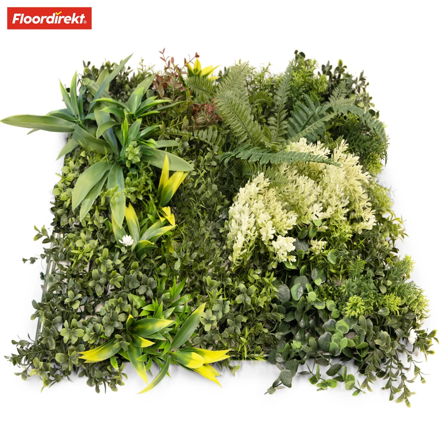 Pflanzenwand | Rhea | Stilvolle Wandgestaltung Mit Grünpflanzen Und Weißen Blüten | 50 X 50 Cm 13 Pflanzenwand | Rhea | Stilvolle Wandgestaltung Mit Grünpflanzen Und Weißen Blüten | 50 X 50 Cm – Bild 11