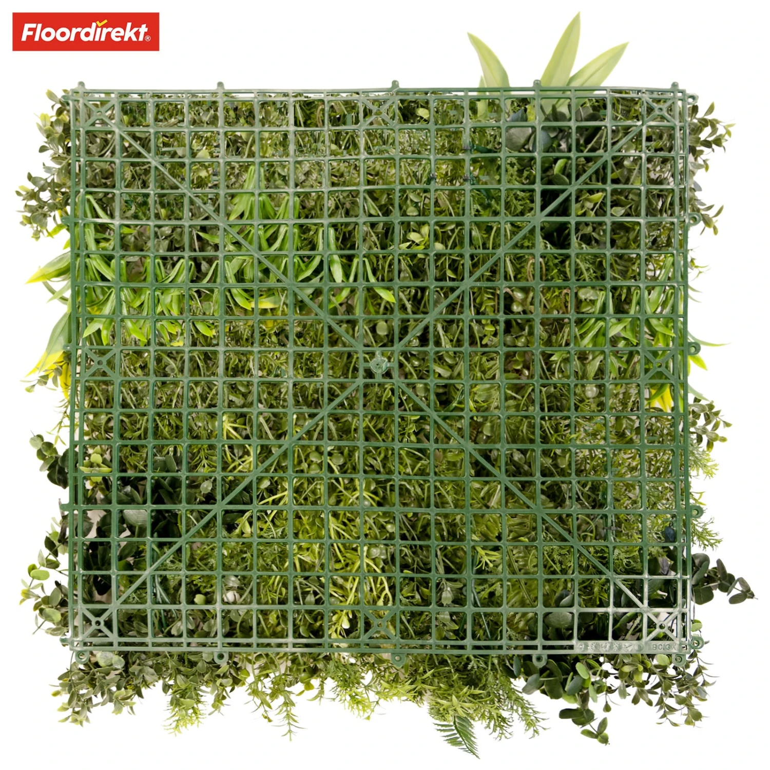 Pflanzenwand | Rhea | Stilvolle Wandgestaltung Mit Grünpflanzen Und Weißen Blüten | 50 X 50 Cm 15 Pflanzenwand | Rhea | Stilvolle Wandgestaltung Mit Grünpflanzen Und Weißen Blüten | 50 X 50 Cm – Bild 13