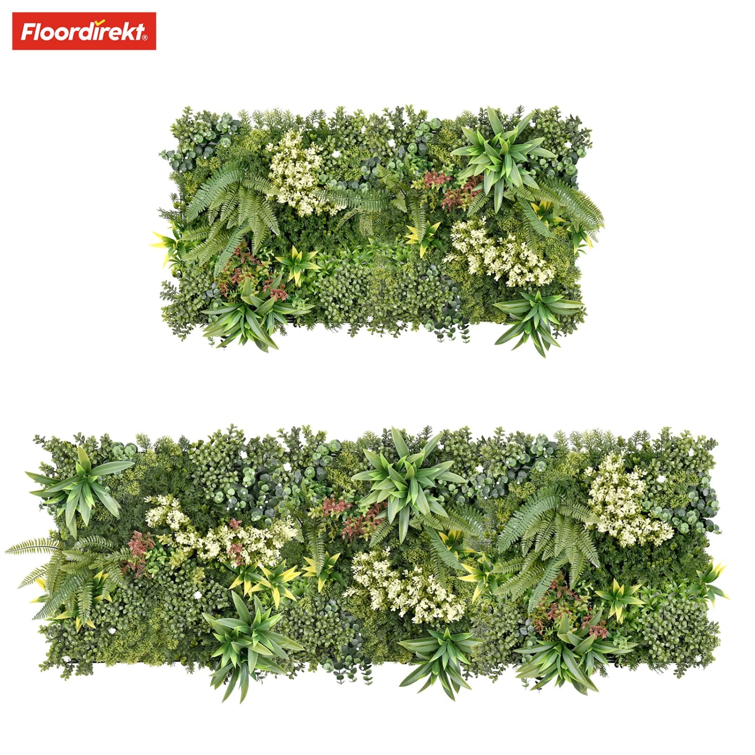 Pflanzenwand | Rhea | Stilvolle Wandgestaltung Mit Grünpflanzen Und Weißen Blüten | 50 X 50 Cm 7 Pflanzenwand | Rhea | Stilvolle Wandgestaltung Mit Grünpflanzen Und Weißen Blüten | 50 X 50 Cm – Bild 5