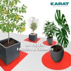 Untersetzer Mit Abgeschrägter Kante Für Blumentöpfe Mit Abgeschrägter Kante | Majesty | Schutz Für Den Boden | In Vielen Farben Und Größen -Floordirekt UnterlagefuerBlumentoepfeabgeschraegteKanteMajesty 15