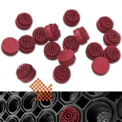 Bürsteneinsätze Für Ringmatte Octagon | Wetterfest | 10 Er Set 25 Bürsteneinsätze Für Ringmatte Octagon | Wetterfest | 10 Er Set -Floordirekt bursteneinsatze fur ringmatte octagon 8 farben 859145