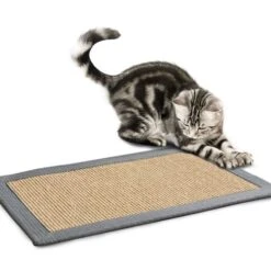 Kratzteppich Für Katzen | Sisal | Verschiedene Bordürenfarben 41 Kratzteppich Für Katzen | Sisal | Verschiedene Bordürenfarben -Floordirekt kratzteppich fur katzen sisal verschiedene bordurenfarben 375175