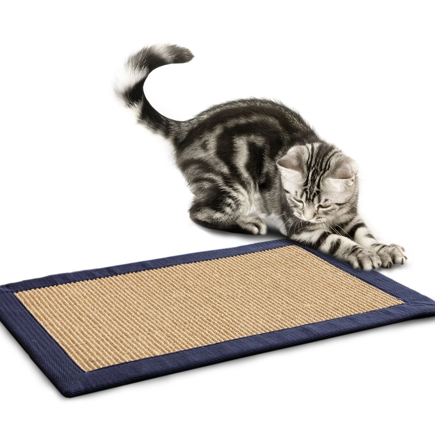 Kratzteppich Für Katzen | Sisal | Verschiedene Bordürenfarben 18 Kratzteppich Für Katzen | Sisal | Verschiedene Bordürenfarben – Bild 16