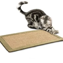 Kratzteppich Für Katzen | Sisal | Verschiedene Bordürenfarben 29 Kratzteppich Für Katzen | Sisal | Verschiedene Bordürenfarben -Floordirekt kratzteppich fur katzen sisal verschiedene bordurenfarben 898381