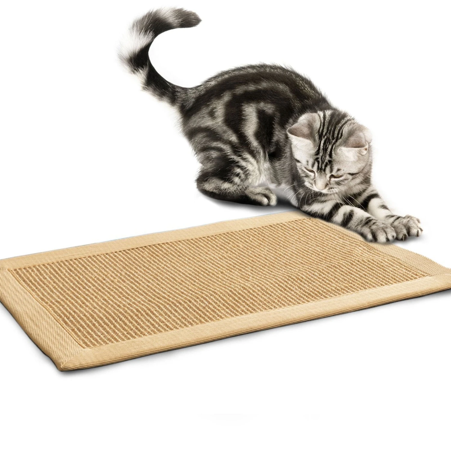 Kratzteppich Für Katzen | Sisal | Verschiedene Bordürenfarben 3 Kratzteppich Für Katzen | Sisal | Verschiedene Bordürenfarben