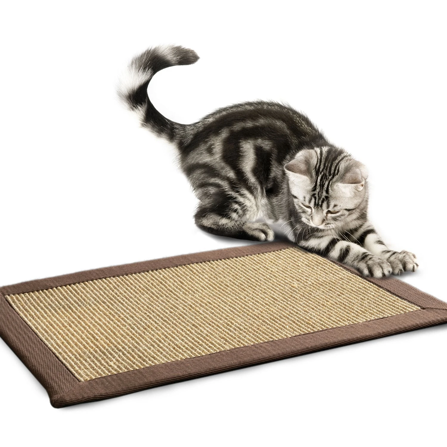 Kratzteppich Für Katzen | Sisal | Verschiedene Bordürenfarben 14 Kratzteppich Für Katzen | Sisal | Verschiedene Bordürenfarben – Bild 12
