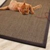 Sisal-Katzenteppich | Mit Bordüre | Schadstofffreie & Widerstandsfähige Kratzmatte 2 Sisal-Katzenteppich | Mit Bordüre | Schadstofffreie & Widerstandsfähige Kratzmatte -Floordirekt sisal katzenteppich mit bordure 70 x 130 cm verschiedene farben 406313