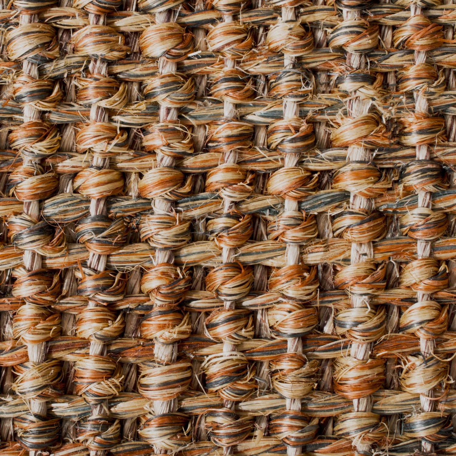 Sisal-Katzenteppich | Mit Bordüre | Schadstofffreie & Widerstandsfähige Kratzmatte 14 Sisal-Katzenteppich | Mit Bordüre | Schadstofffreie & Widerstandsfähige Kratzmatte – Bild 12