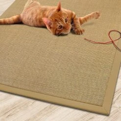 Sisal-Katzenteppich | Mit Bordüre | Schadstofffreie & Widerstandsfähige Kratzmatte 28 Sisal-Katzenteppich | Mit Bordüre | Schadstofffreie & Widerstandsfähige Kratzmatte -Floordirekt sisal katzenteppich mit bordure 70 x 130 cm verschiedene farben 652591