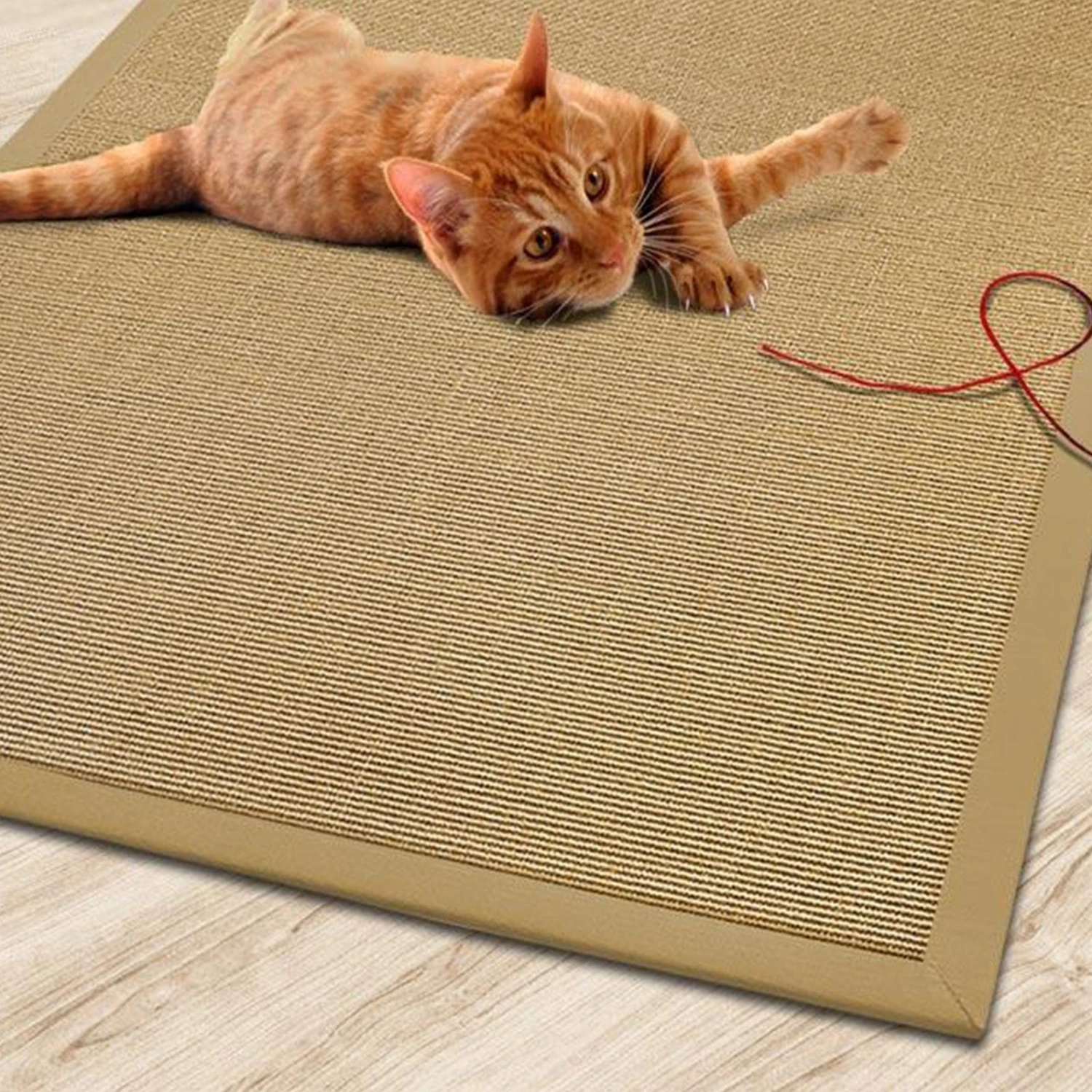 Sisal-Katzenteppich | Mit Bordüre | Schadstofffreie & Widerstandsfähige Kratzmatte 13 Sisal-Katzenteppich | Mit Bordüre | Schadstofffreie & Widerstandsfähige Kratzmatte – Bild 11