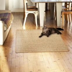 Floordirekt -Floordirekt sisal kratzteppich gekettelt viele farben in verschiedenen grossen 276325