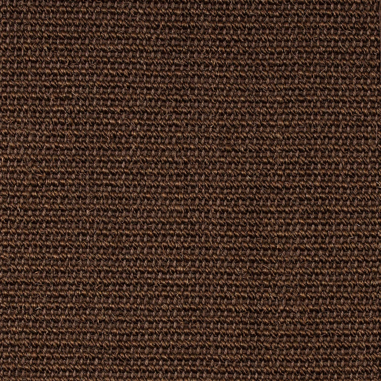 Sisal-Teppich Amazonas | Mit Breiter Bordüre | Für Alle Wohnbereiche 14 Sisal-Teppich Amazonas | Mit Breiter Bordüre | Für Alle Wohnbereiche – Bild 12