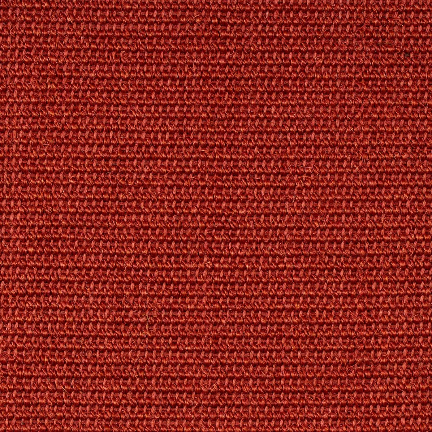 Sisal-Teppich Amazonas | Mit Breiter Bordüre | Für Alle Wohnbereiche 21 Sisal-Teppich Amazonas | Mit Breiter Bordüre | Für Alle Wohnbereiche – Bild 19