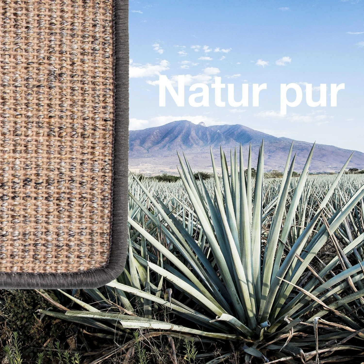 Sisal-Teppich Nach Maß | Sylt | Brücke Für Innenbereiche 14 Sisal-Teppich Nach Maß | Sylt | Brücke Für Innenbereiche – Bild 12