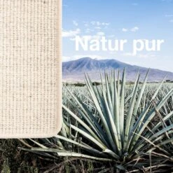 Sisal-Teppich Nach Maß | Sylt | Brücke Für Innenbereiche 41 Sisal-Teppich Nach Maß | Sylt | Brücke Für Innenbereiche -Floordirekt sisal agave 5